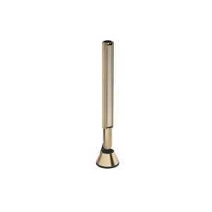 Напольная акустика Bang & Olufsen Beolab 28 Gold Tone/Light Oak