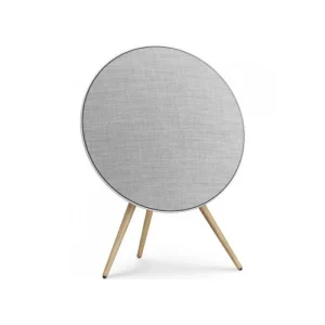 Bang & Olufsen Beosound A9 5th Generation Natural Aluminium